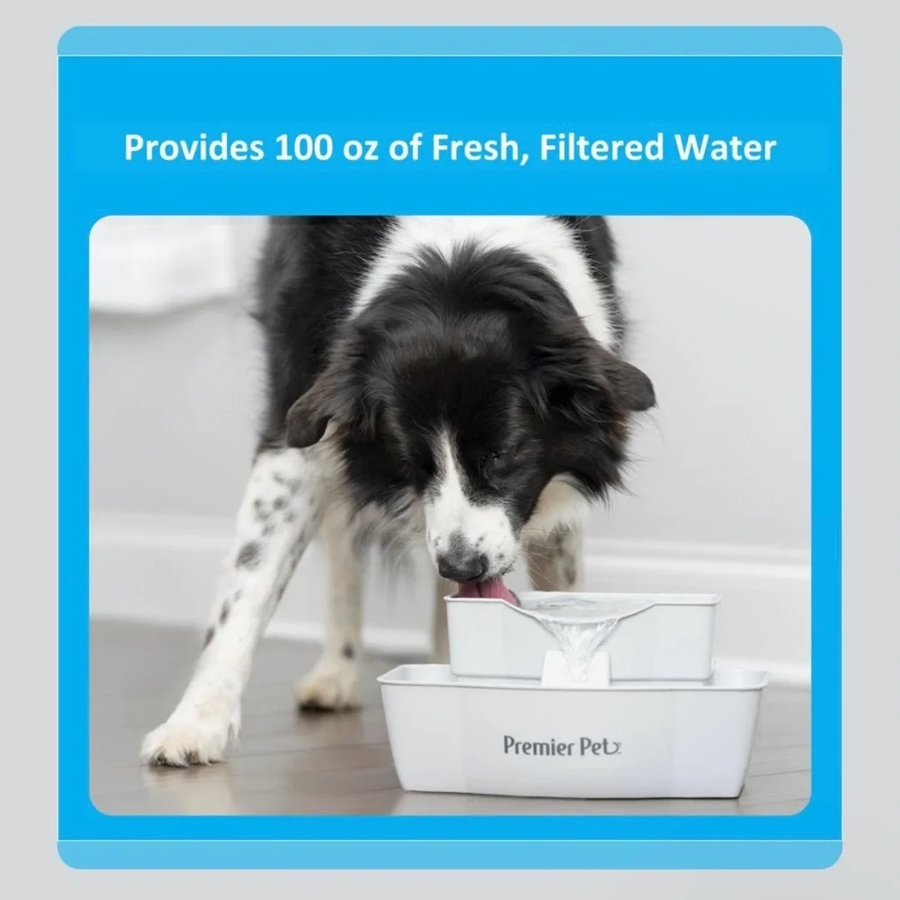 Premier pet 100 oz. Pet Fountain